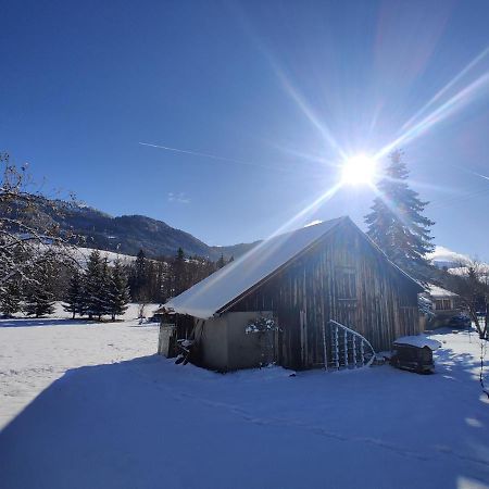 Gite Vallee Verte Burdignin Exterior foto