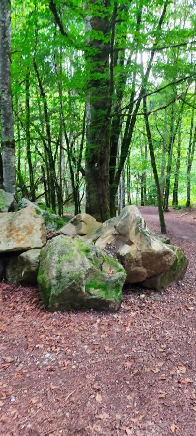 Gite Vallee Verte Burdignin Exterior foto